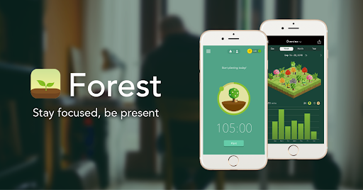 Productivity Tool - Forest
